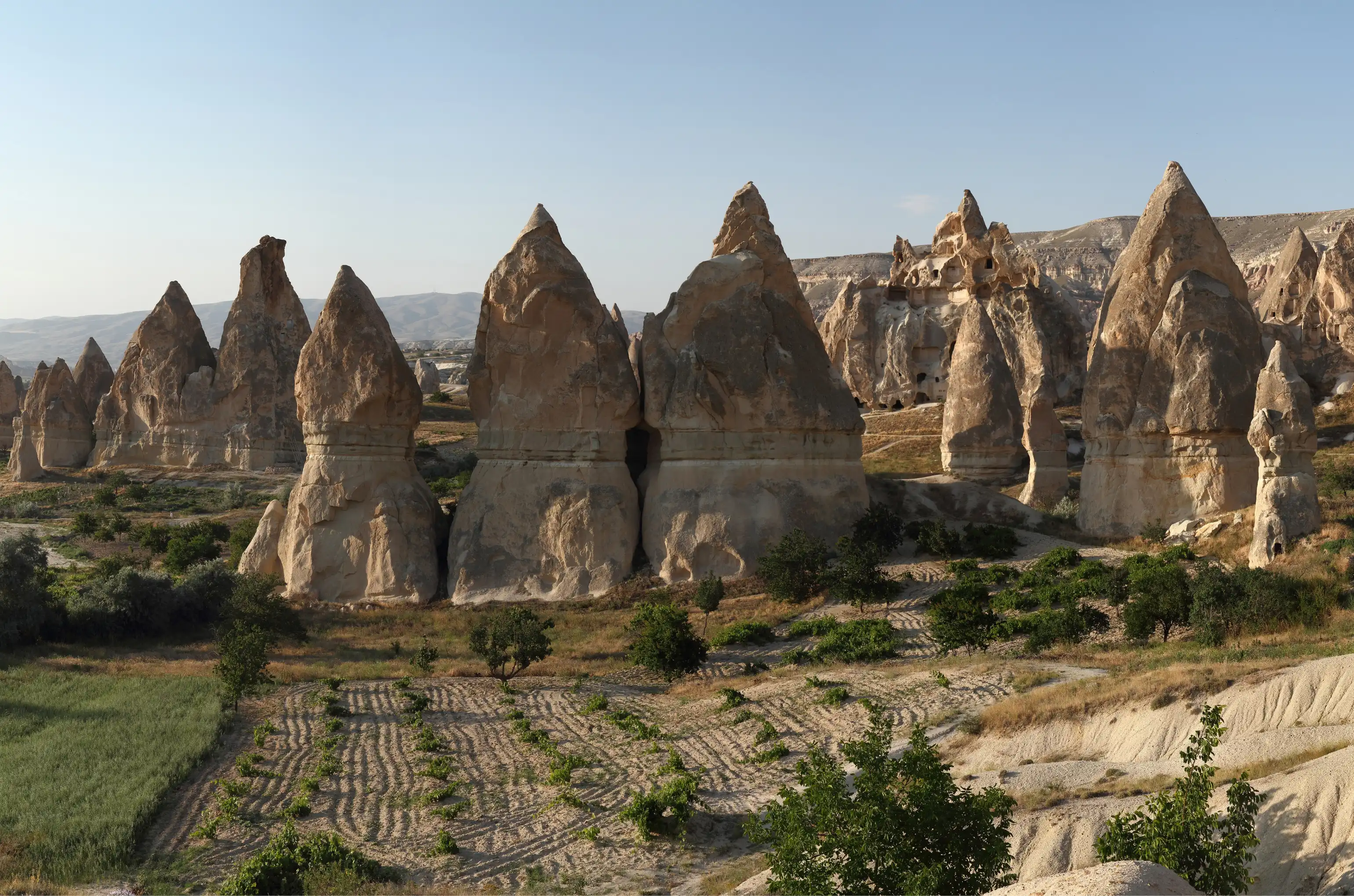 Creditภาพ: Wikimedia Commons