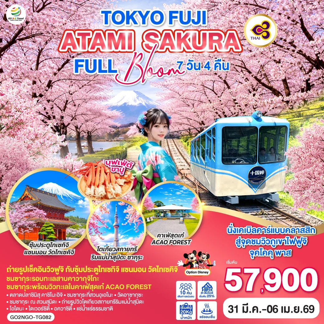 ทัวร์ญี่ปุ่น TOKYO FUJI ATAMI SAKURA FULL BLOOM 7วัน 4คืน (TG)